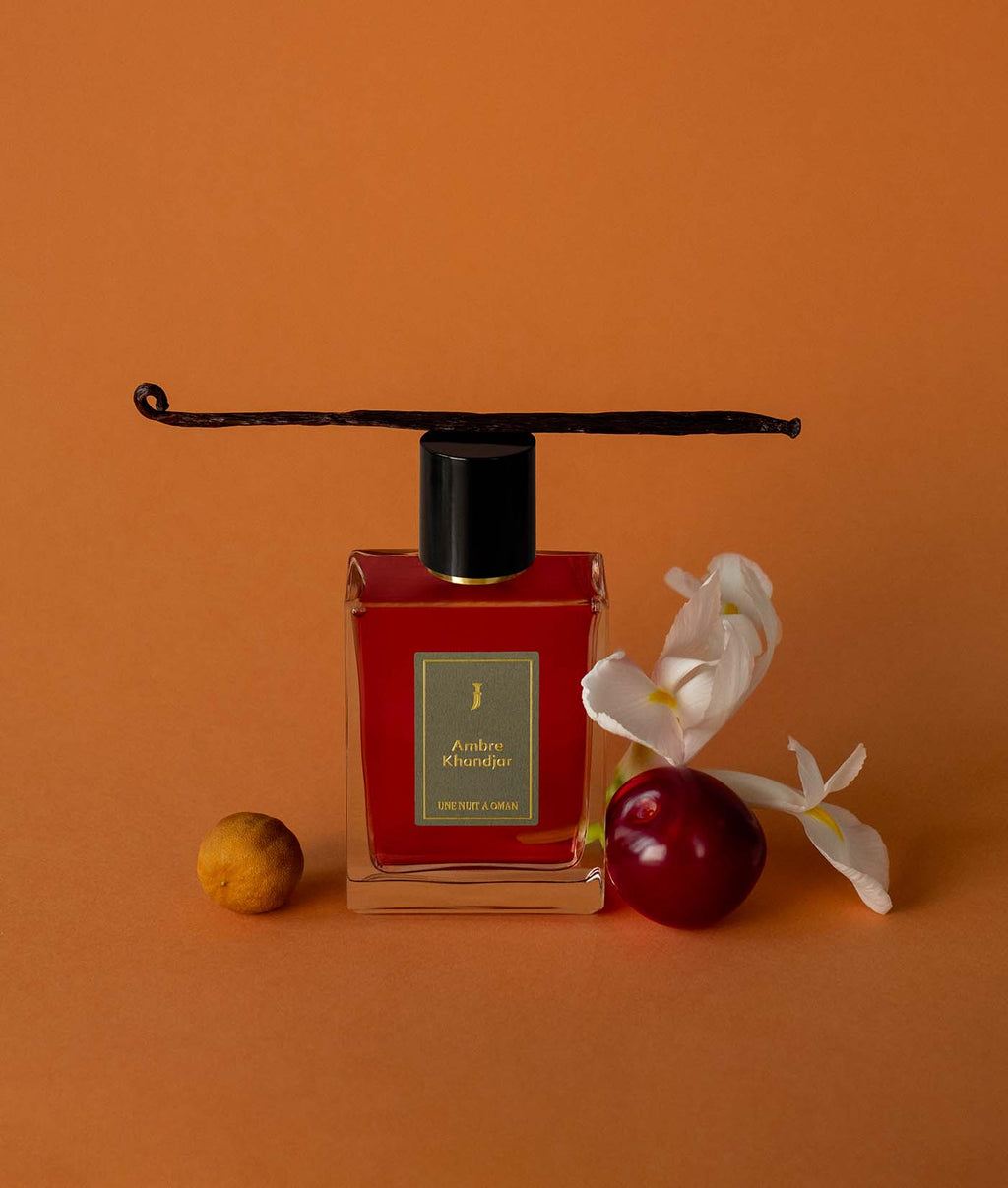Ambre Khandjar Une nuit nomade