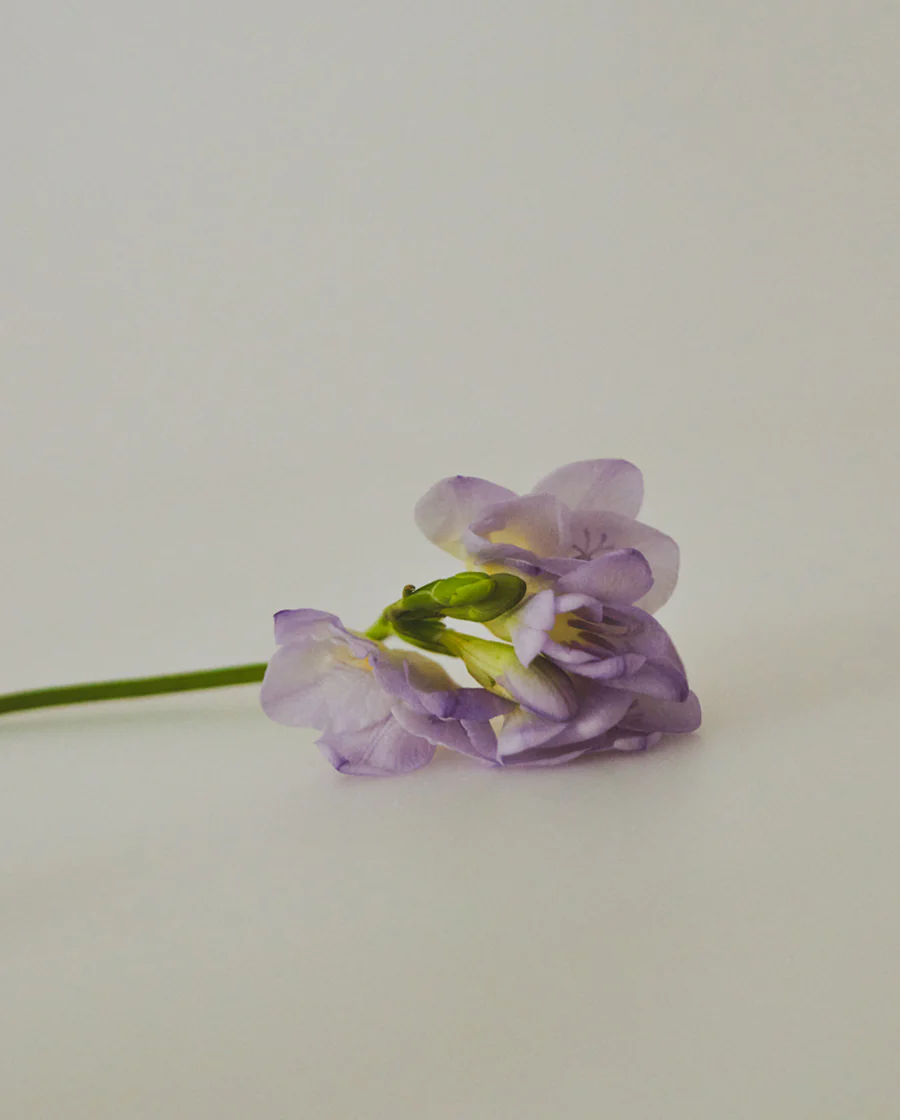 Huile soyeuse parfumée