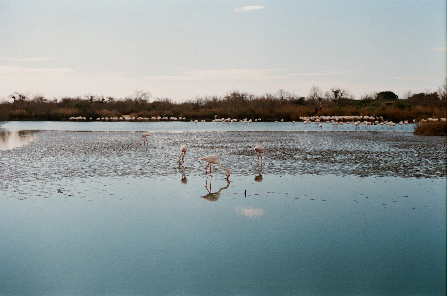 A week abroad : Arles & Camargue