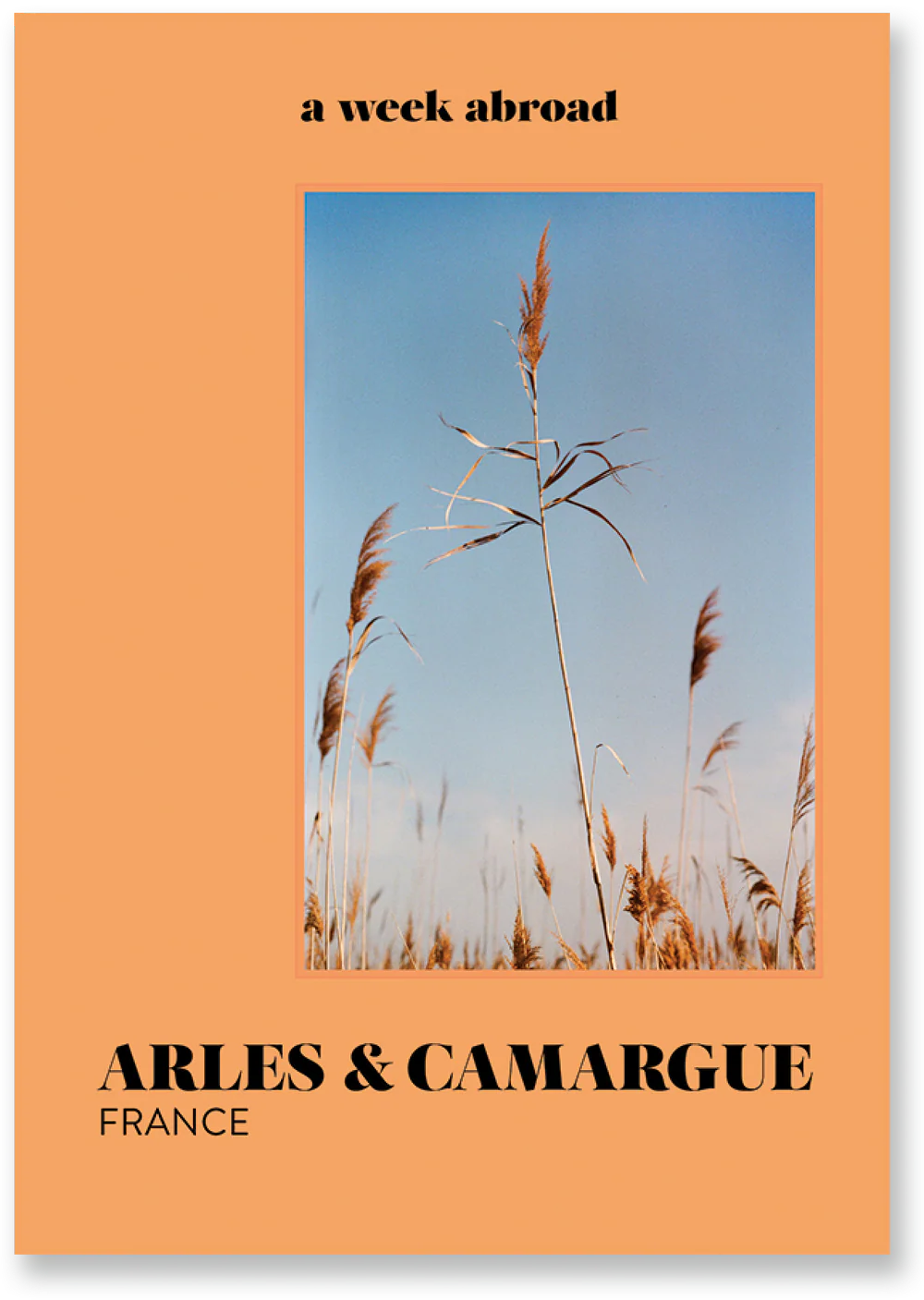 A week abroad : Arles & Camargue