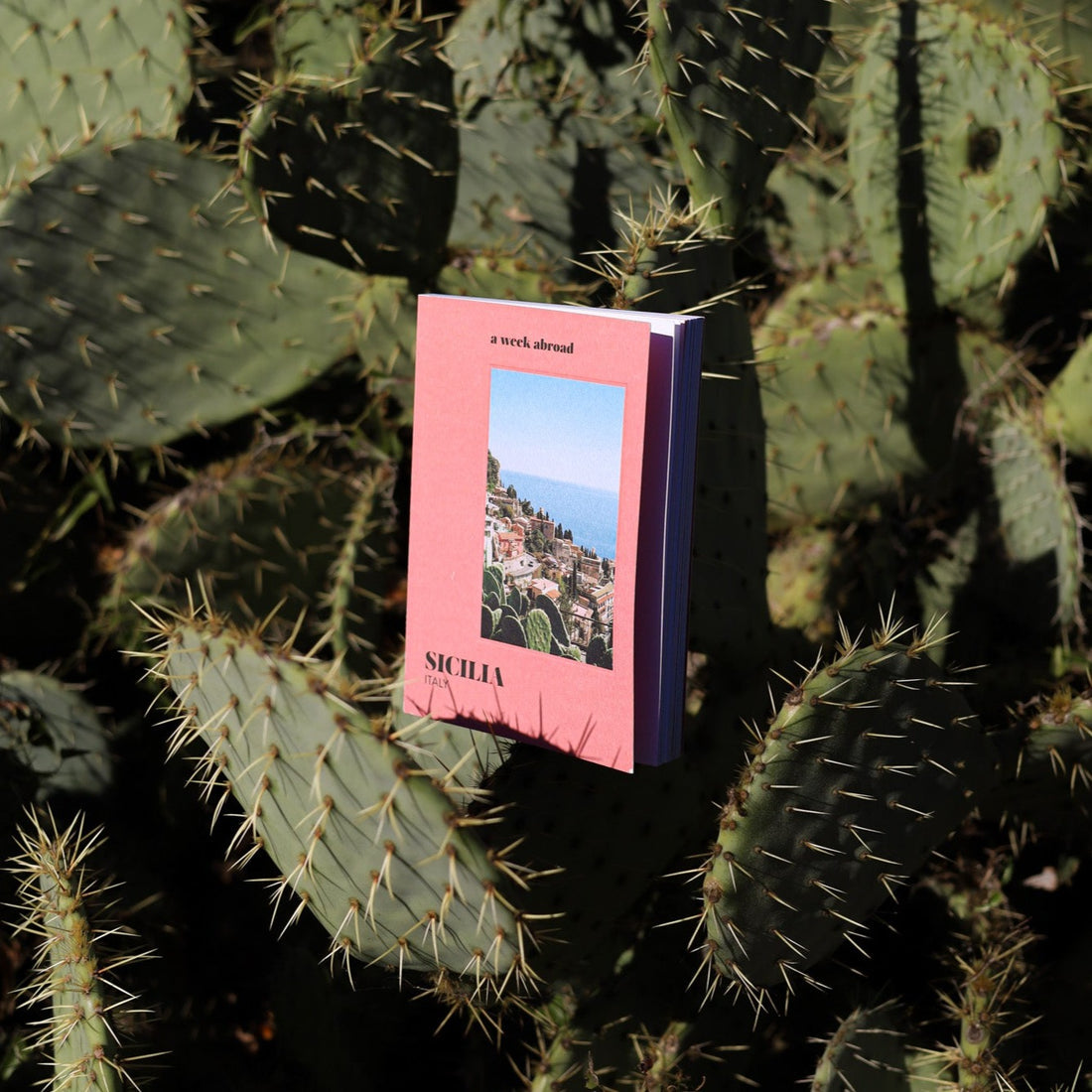 A week abroad : Sicilia
