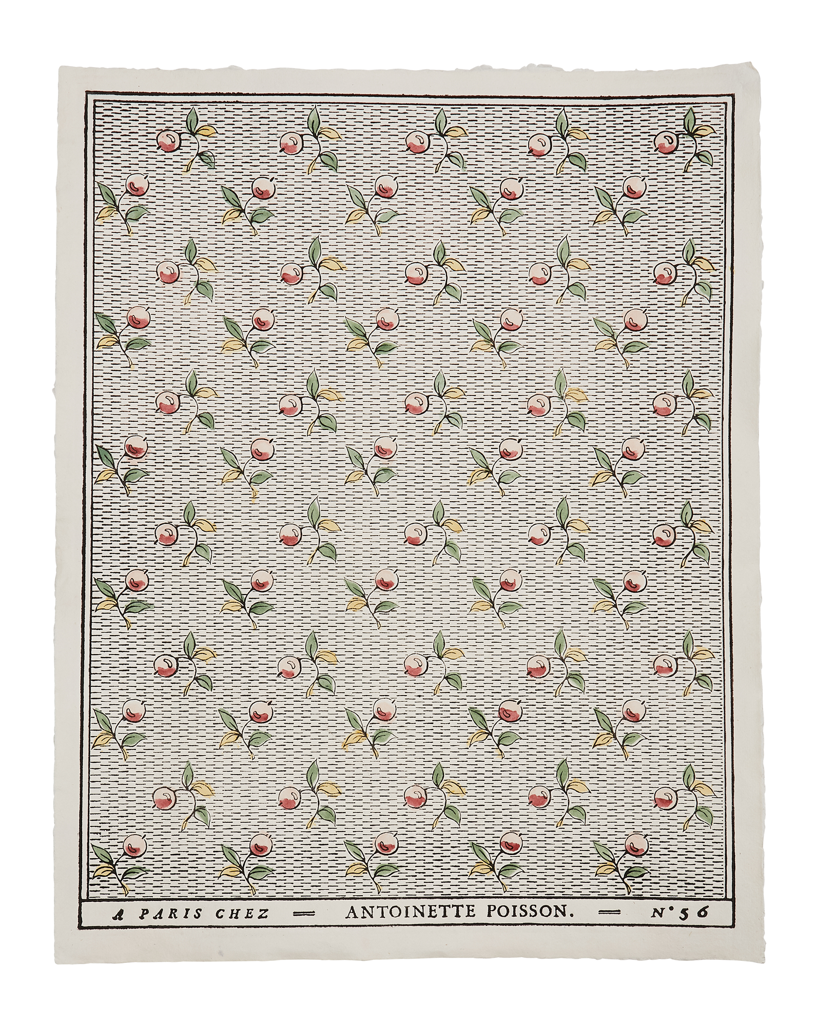 Papier dominoté Baies 56A